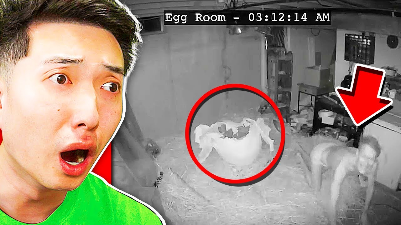 Do NOT Order a MYSTERY EGG Off The DARK WEB..