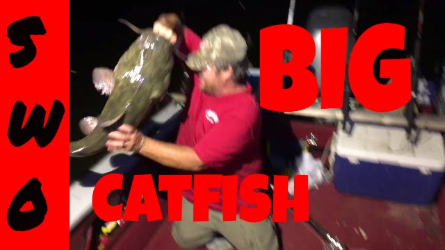 Fishing In the Dark. How to Catch Big Catfish