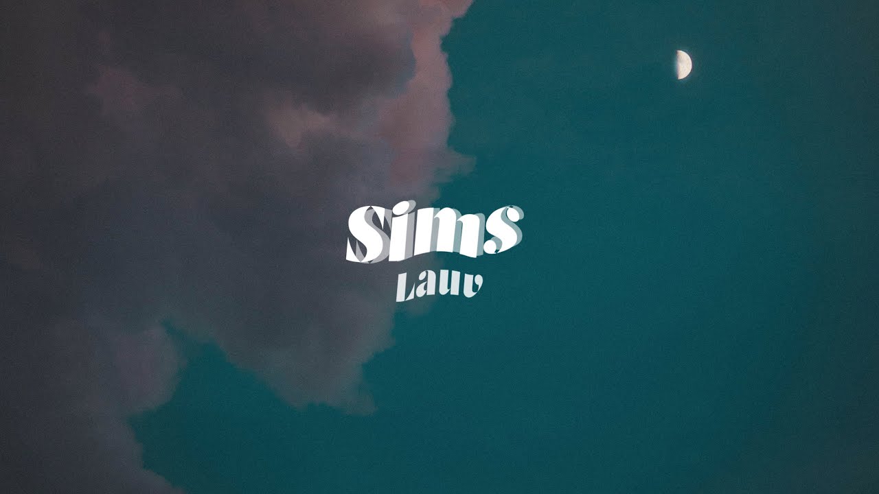 和訳 Sims - Lauv (歌詞 洋楽)