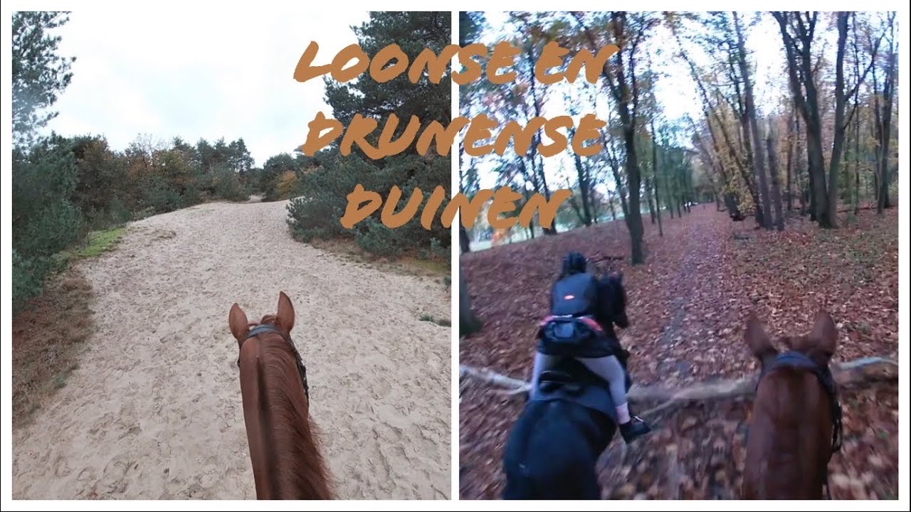 Gopro rit in de loonse en Drunense duinen!! Rijd mee met ons