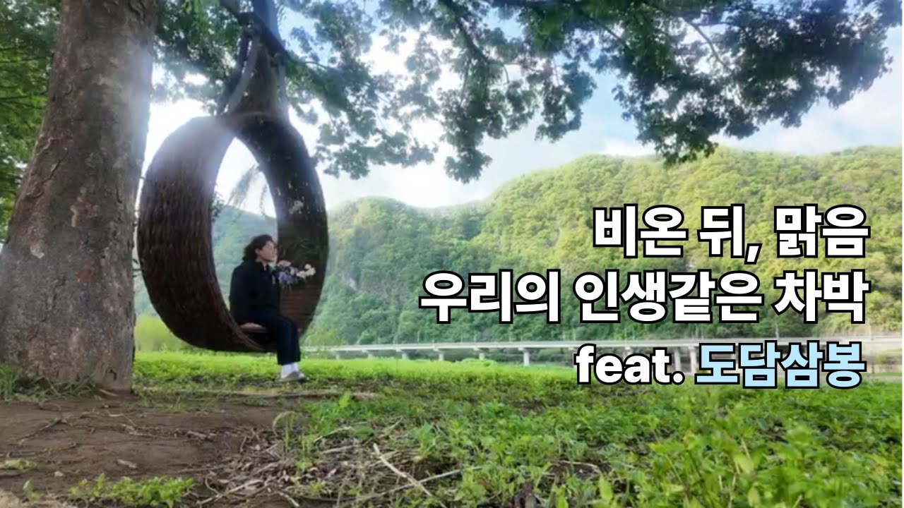 비온 뒤 맑음, 우리의 인생같은 차박 | 도담삼봉 | 단양차박