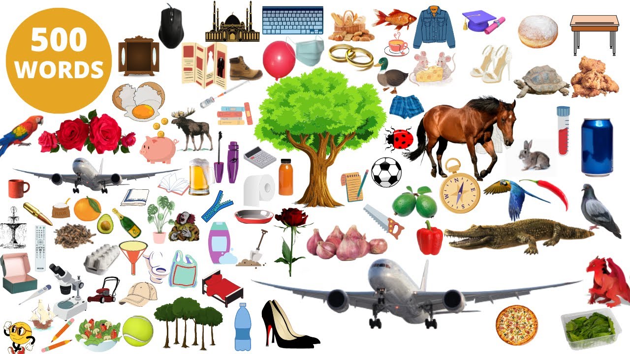 500 Basic English Words  |  English Vocabulary with PICTURES  |  Memorize English Words Fast
