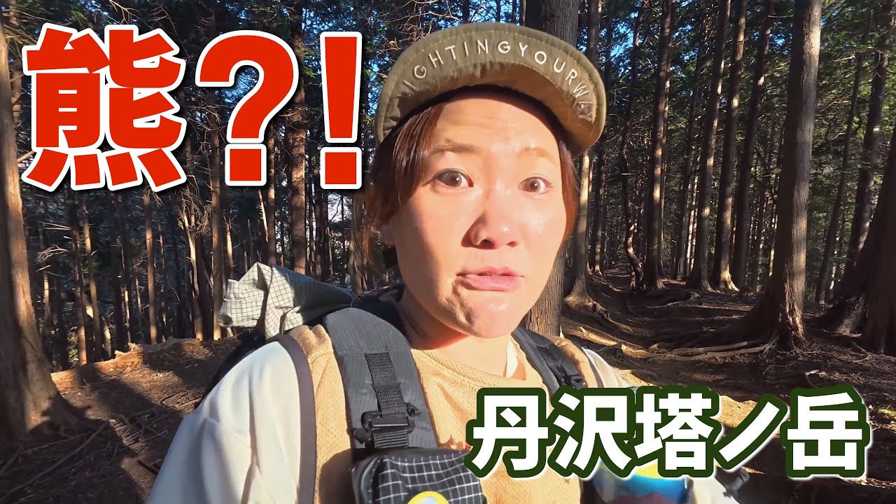 【丹沢塔ノ岳】バカ尾根を再び登る。