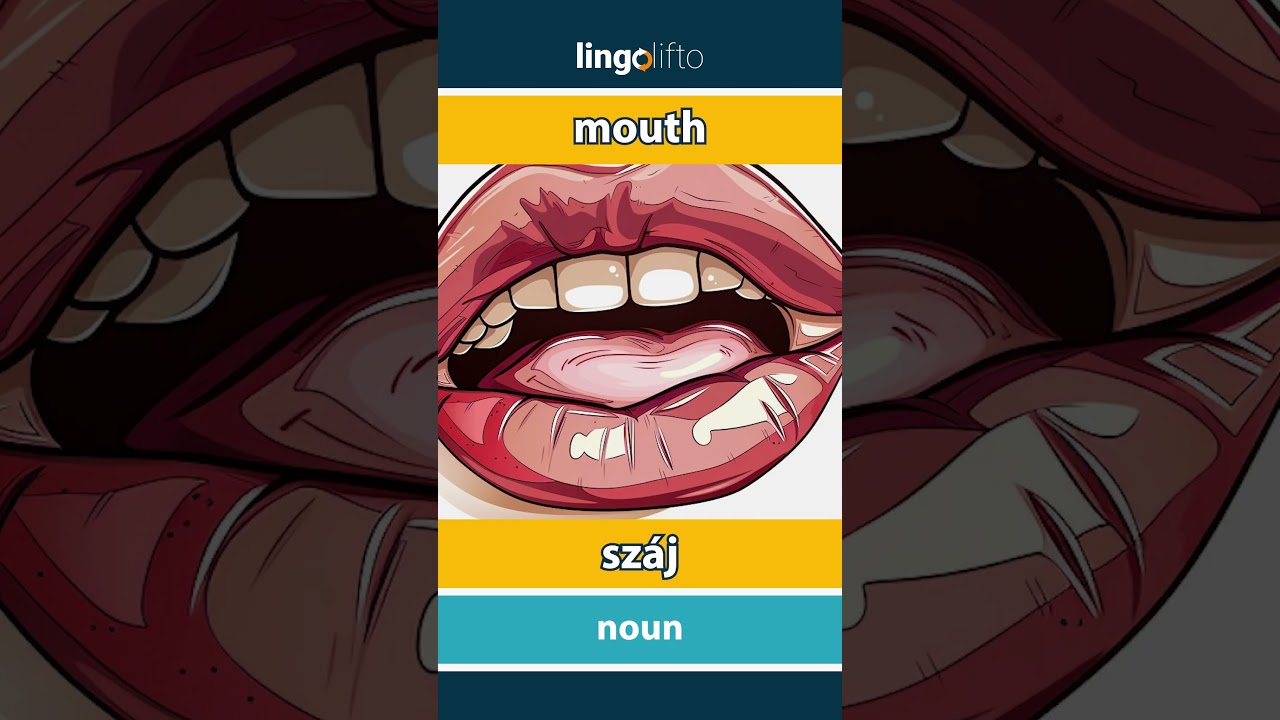 🇬🇧🇭🇺 mouth - sz&aacute;j : vocabulary builder : learn English : tanuljunk angolul
