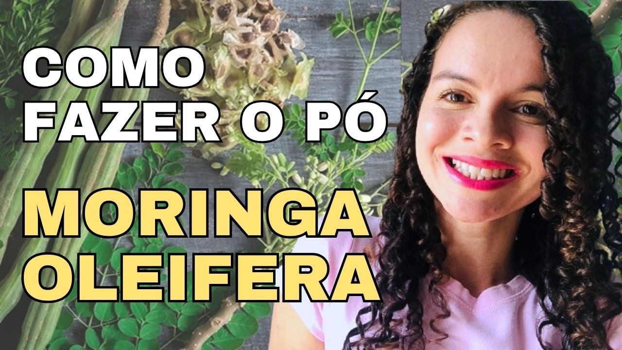 🌿COMO FAZER O PÓ DA MORINGA OLEIFERA [passo a passo] ✅| Enilda Queiroz