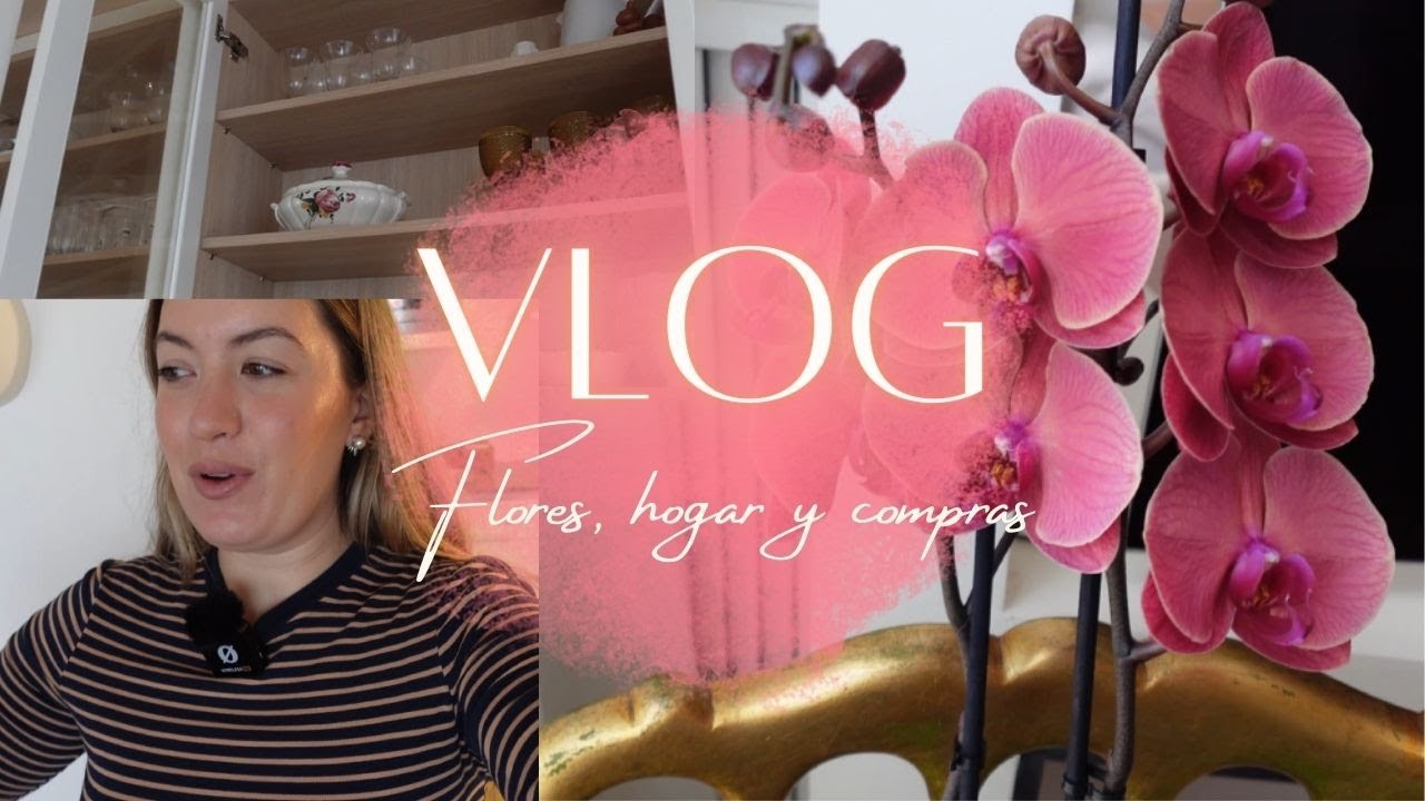 VLOG💕 | Escogiendo orquídea día de la mujer | Compra | Próximos proyectos 🛠️