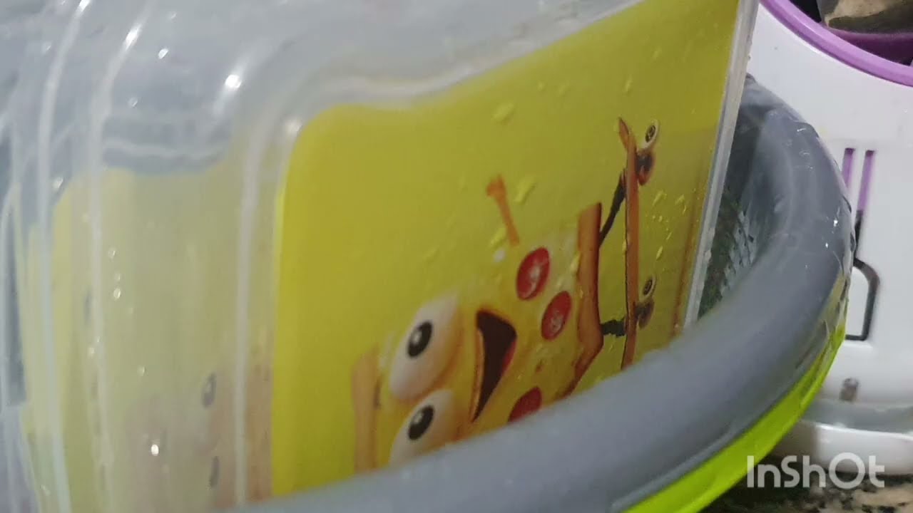 عاااااااجل حقيقة الإفراغ سمعوا نادية