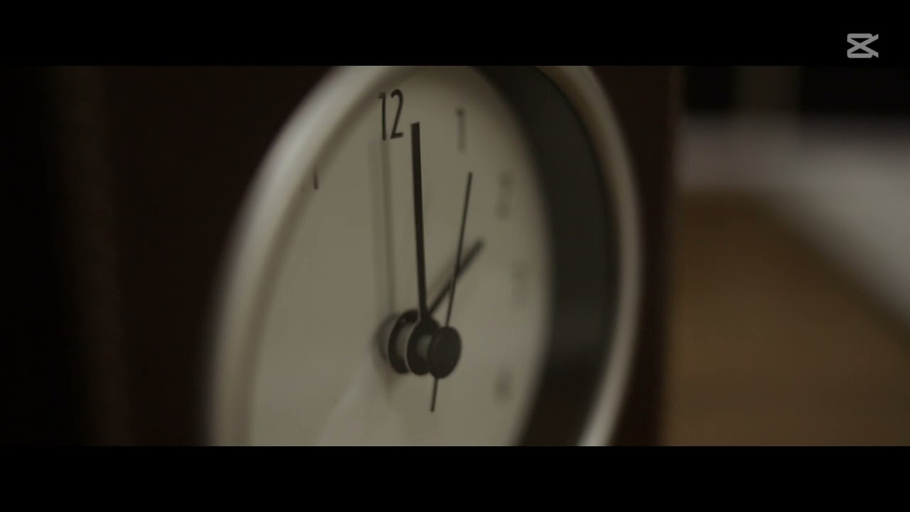 Carl Zeiss Jena MC Flektogon 35mm f2.4 Lens Video Demo. Canon 5D Mk II, Magic Lantern.
