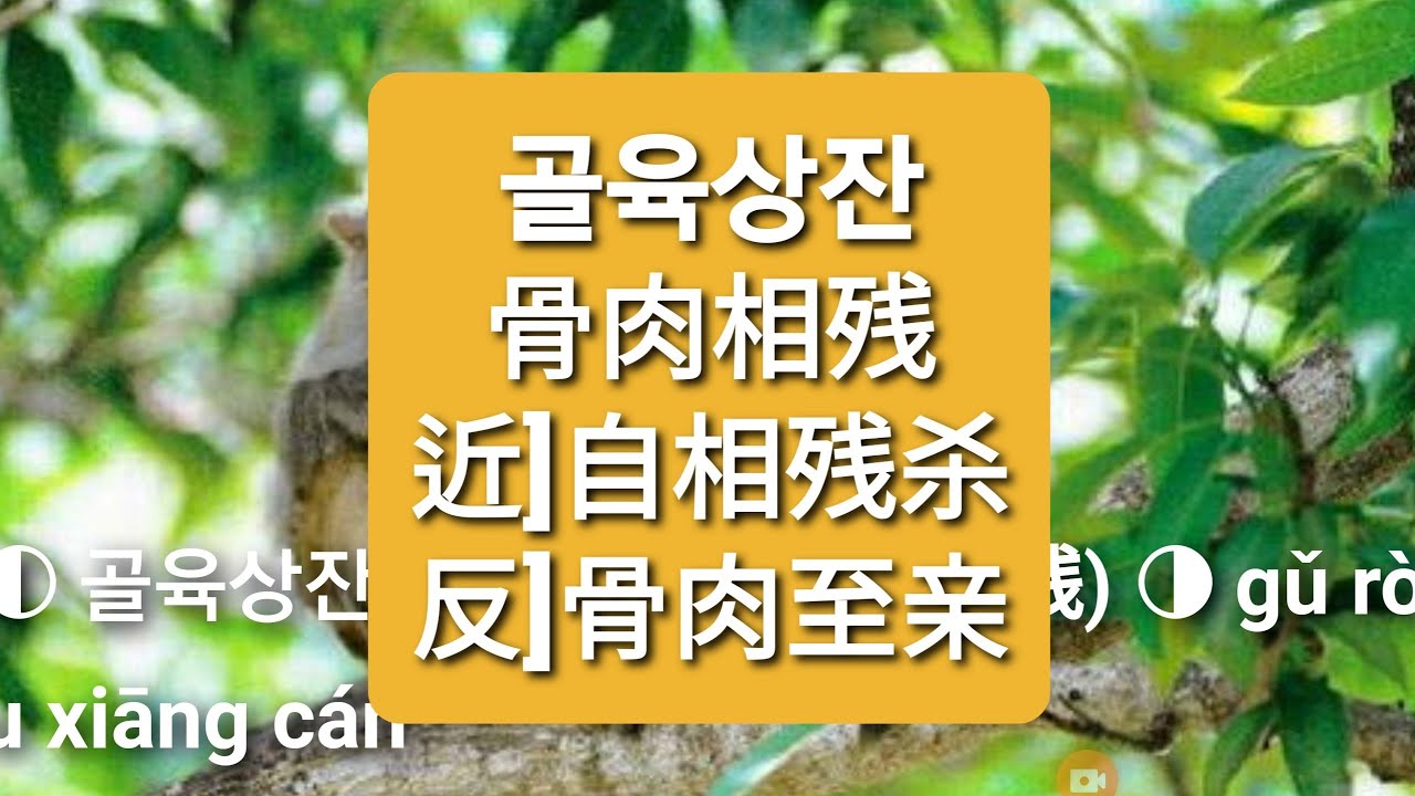 골육상잔(骨肉相殘/骨肉相残) gǔ r&ograve;u xiāng c&aacute;n 스터디윗미 Studywithme 성어TV 필수사자성어 고사성어