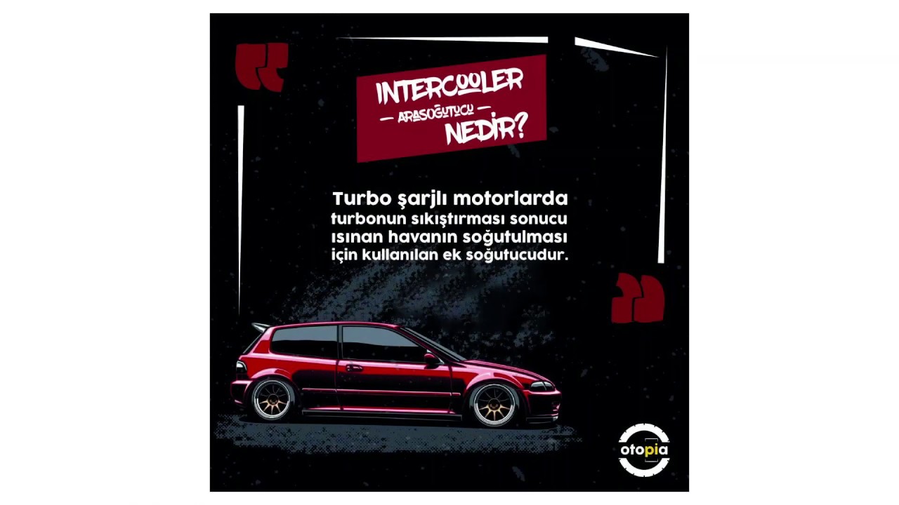 Digibus Sosyal Medya Portfolyo