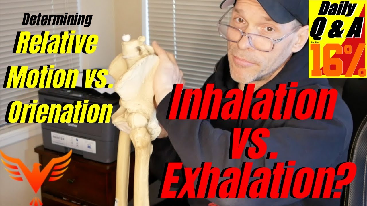 Вопросы и ответы для 16%: определение движения крестца и ориентации таза (также известной как нак...