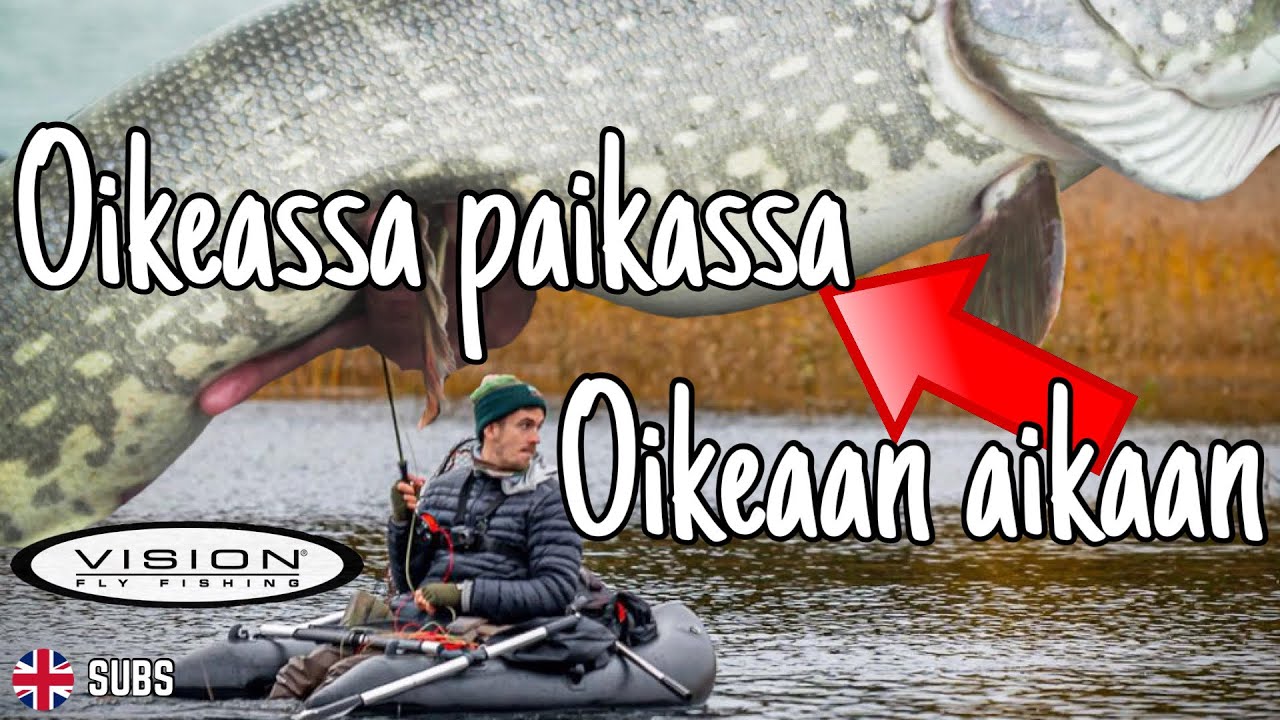 HAUET TANKKAA HULLUN LAILLA | Vision friends & family