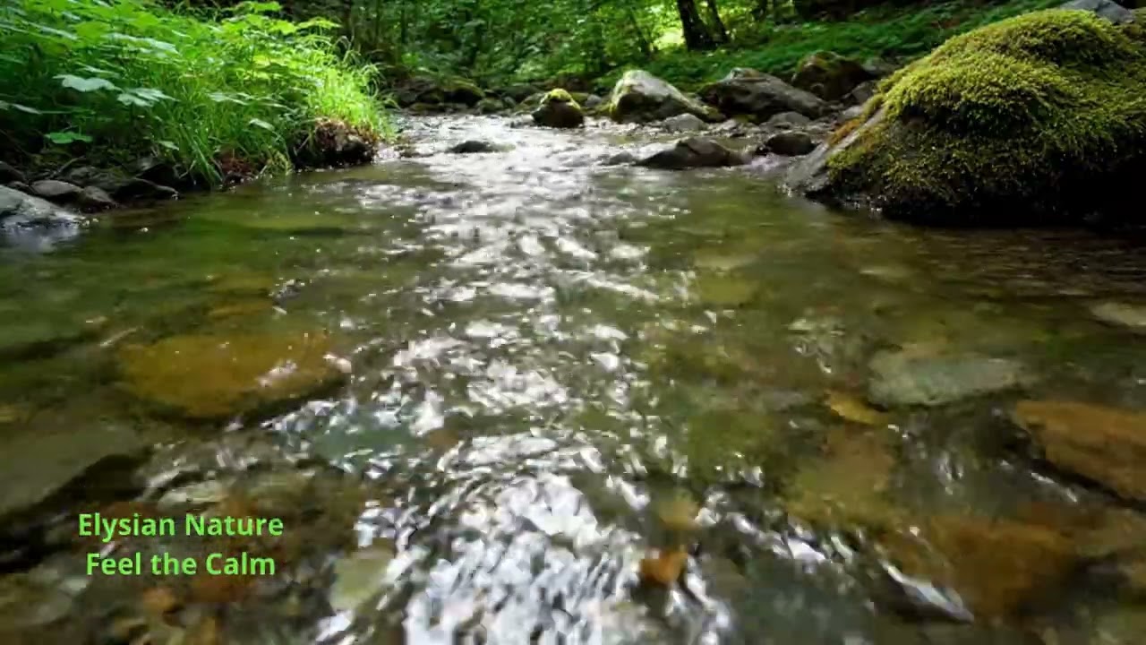 nature water sounds💧