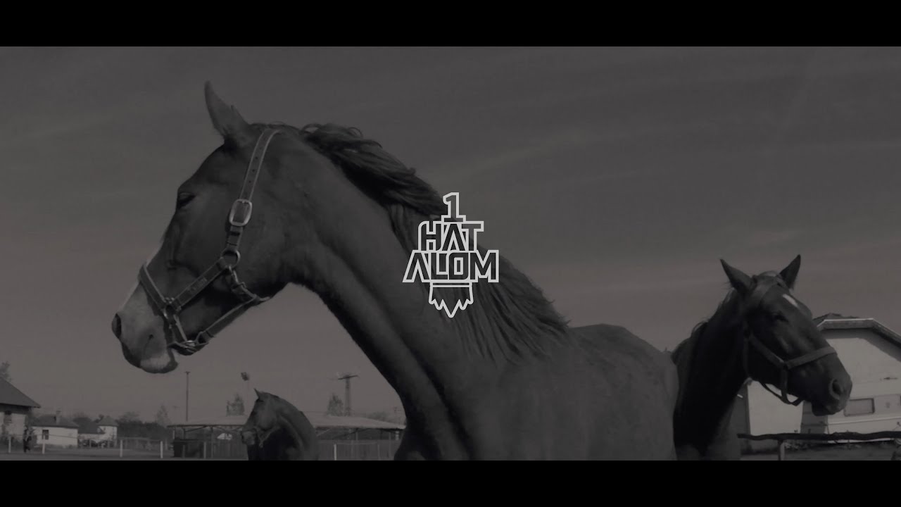 MOTTA STILL - VAD LOVAK /MUSICVIDEO/