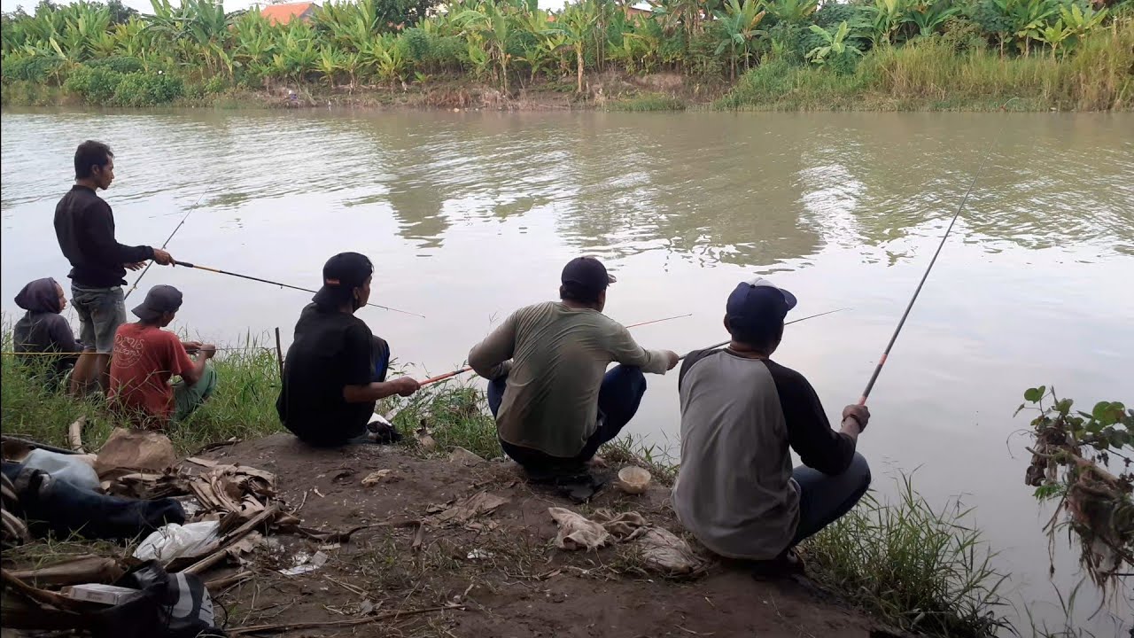 FULL SENYUM !!! walaupun yang mancing keroyokan tapi dapat iwak babon semua,anti boncos