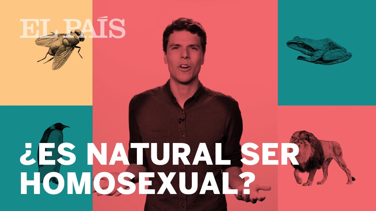 &iquest;La HOMOSEXUALIDAD va contra la EVOLUCI&Oacute;N? | DARWIN, TE NECESITO