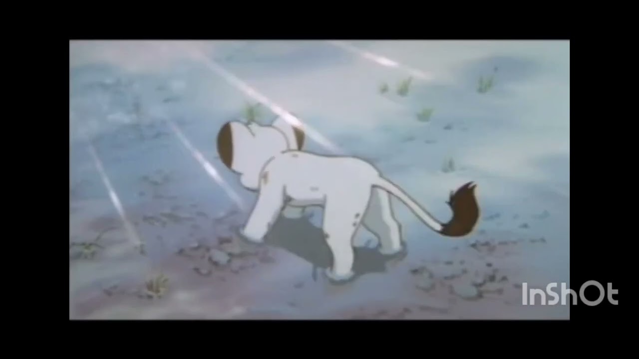 Kimba vs claw