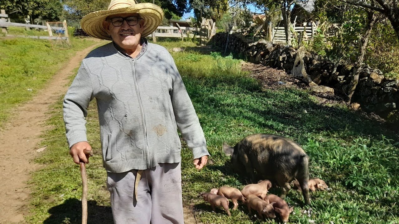 77 ANOS VIVENDO NO MEIO DO MATO COM SABEDORIA - SEU TILE