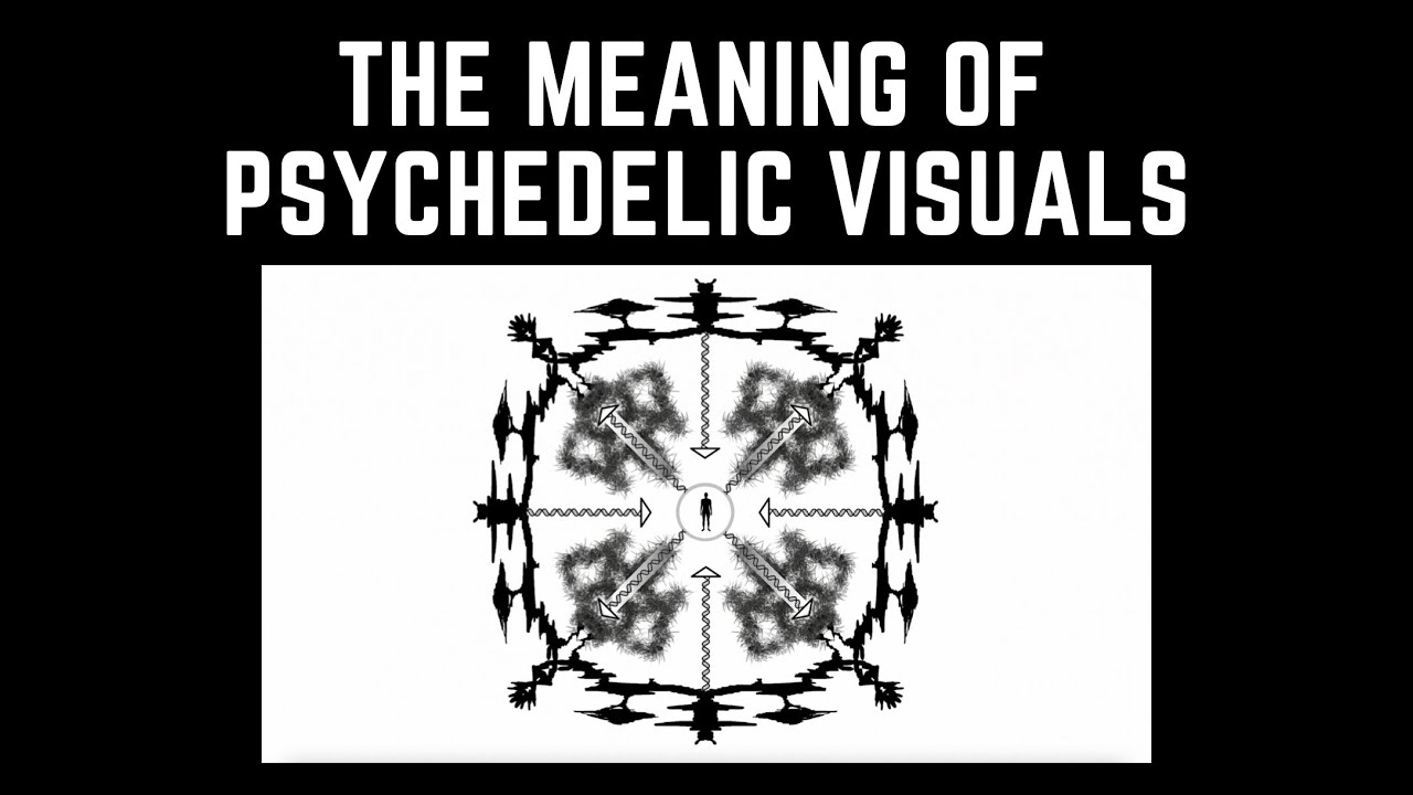 Psychedelic Map Theory: An Evolutionary Explanation for Psychedelic Visions