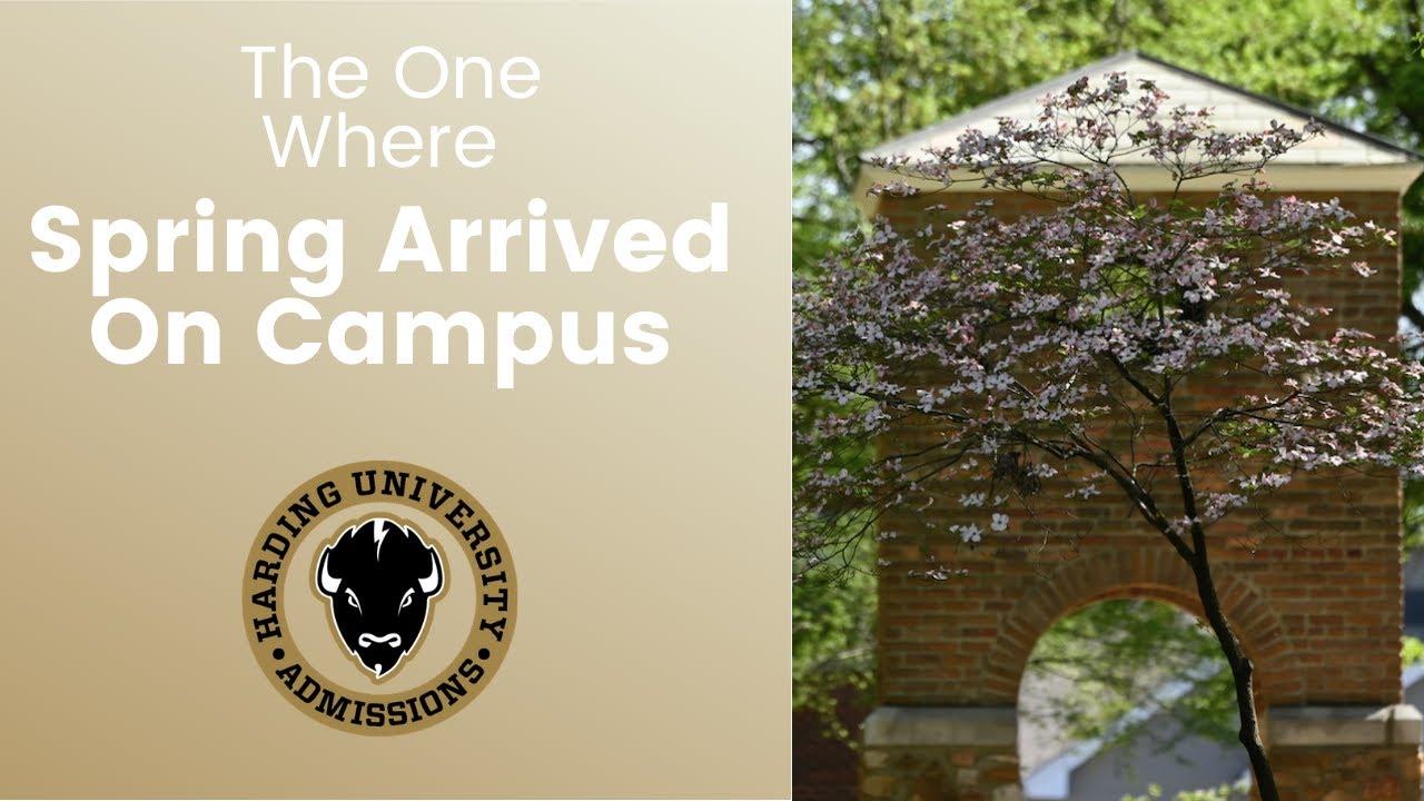 The One Where Spring Arrived On Campus