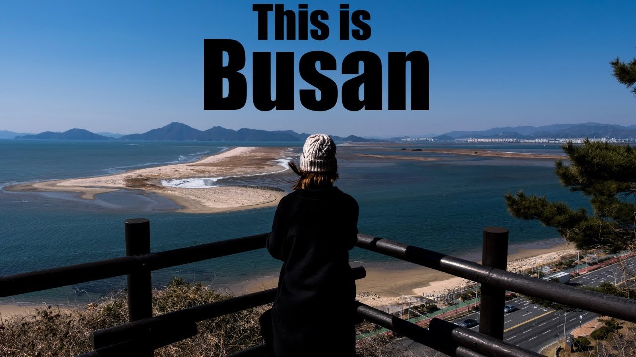 Busan Vlog | Is Dadaepo Beach Best or Worst Beach in Busan