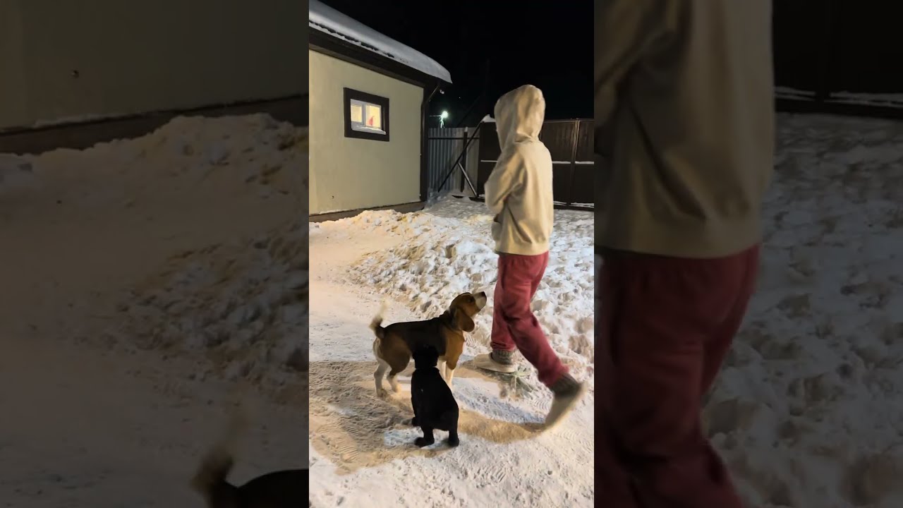 Как вдруг кто-то в дверь постучал 🤪