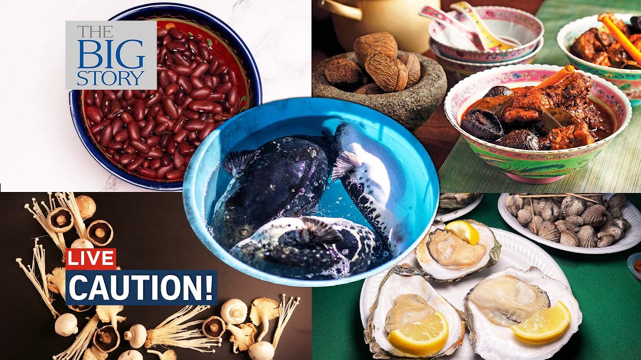 Pufferfish, oysters, and other foods to be cautious of | THE BIG STORY