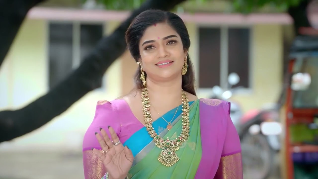Karthigai Deepam | Ep - 1053 | Webisode | Dec 04 2025 | Zee Tamil