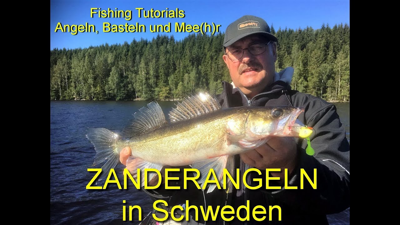 Zanderangeln in Schweden
