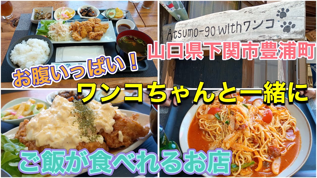 下関市豊浦町にあるワンコちゃんと一緒に美味しいランチのできるお店でランチして来ました！