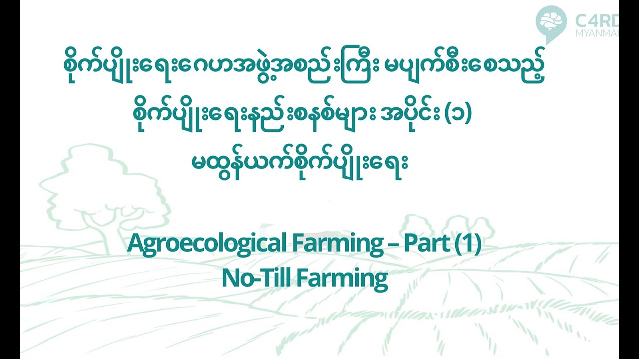 မထွန်ယက်စိုက်ပျိုးရေး (No-Till Farming)