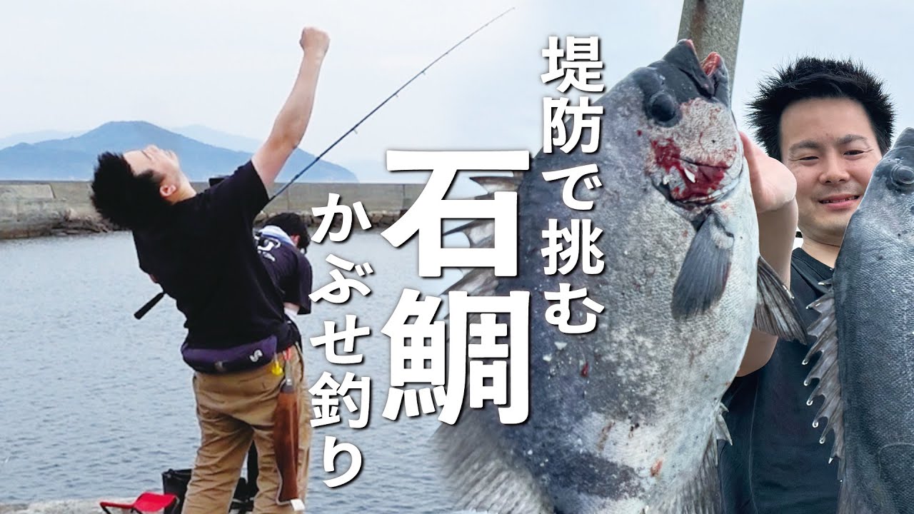 【石鯛】場所移動が功を奏す！堤防かぶせ釣り