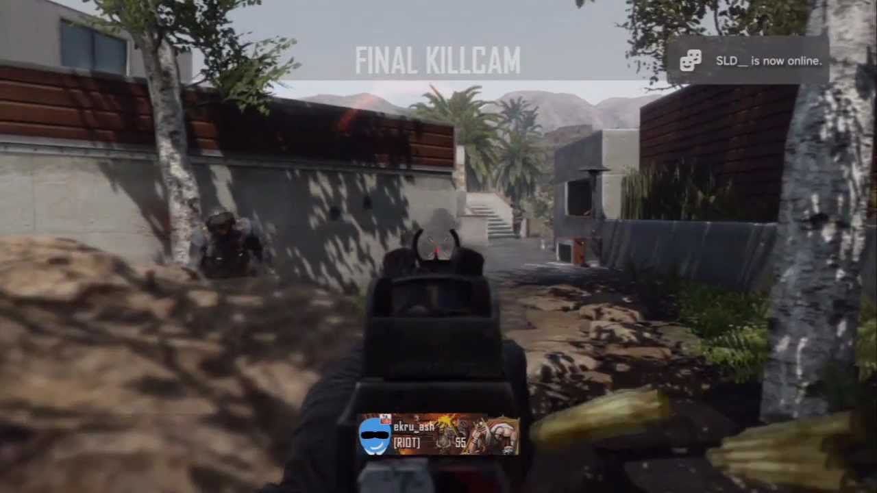 Black Ops 2: 63 - 8 in Raid | Swarm, Dogs, VSAT, M27 Gameplay |