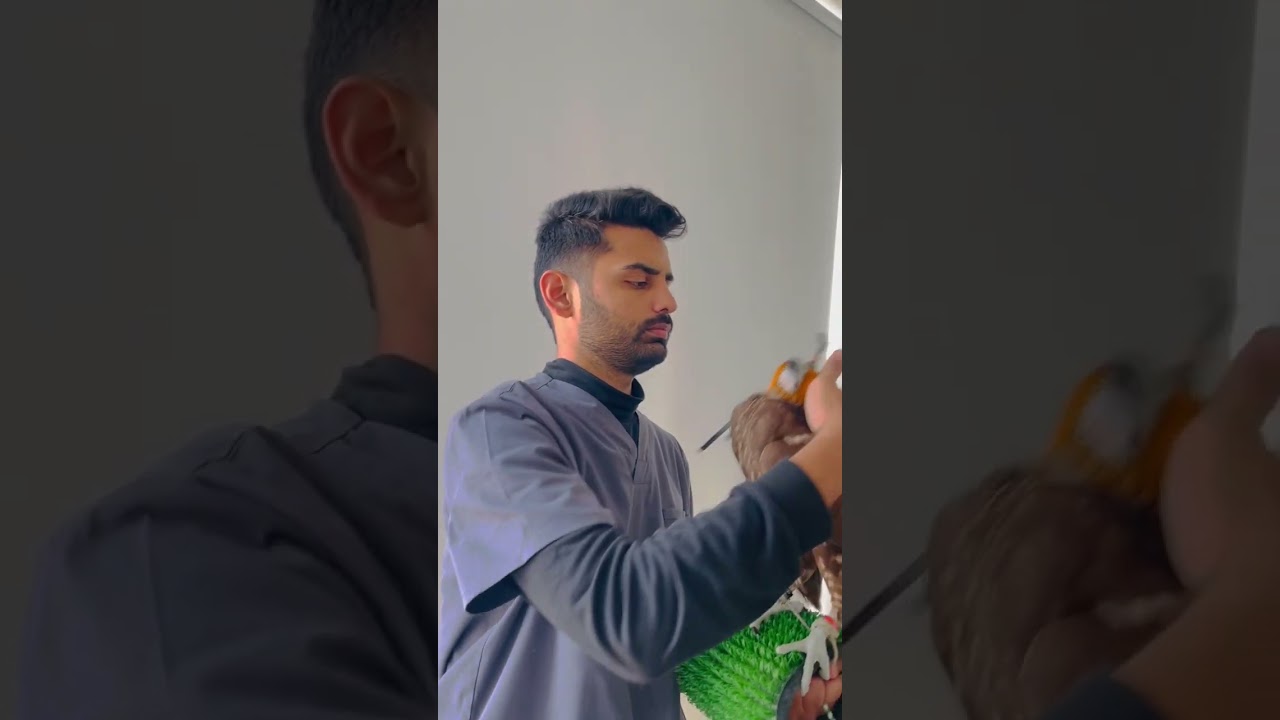 How to put a Falcon hat 🎩 in Pakistan 🇵🇰🇵🇰🇵🇰🇵🇰🇵🇰🦅🦅🦅🦅🦅🦅🦅🦅🦅#shorts #falcon