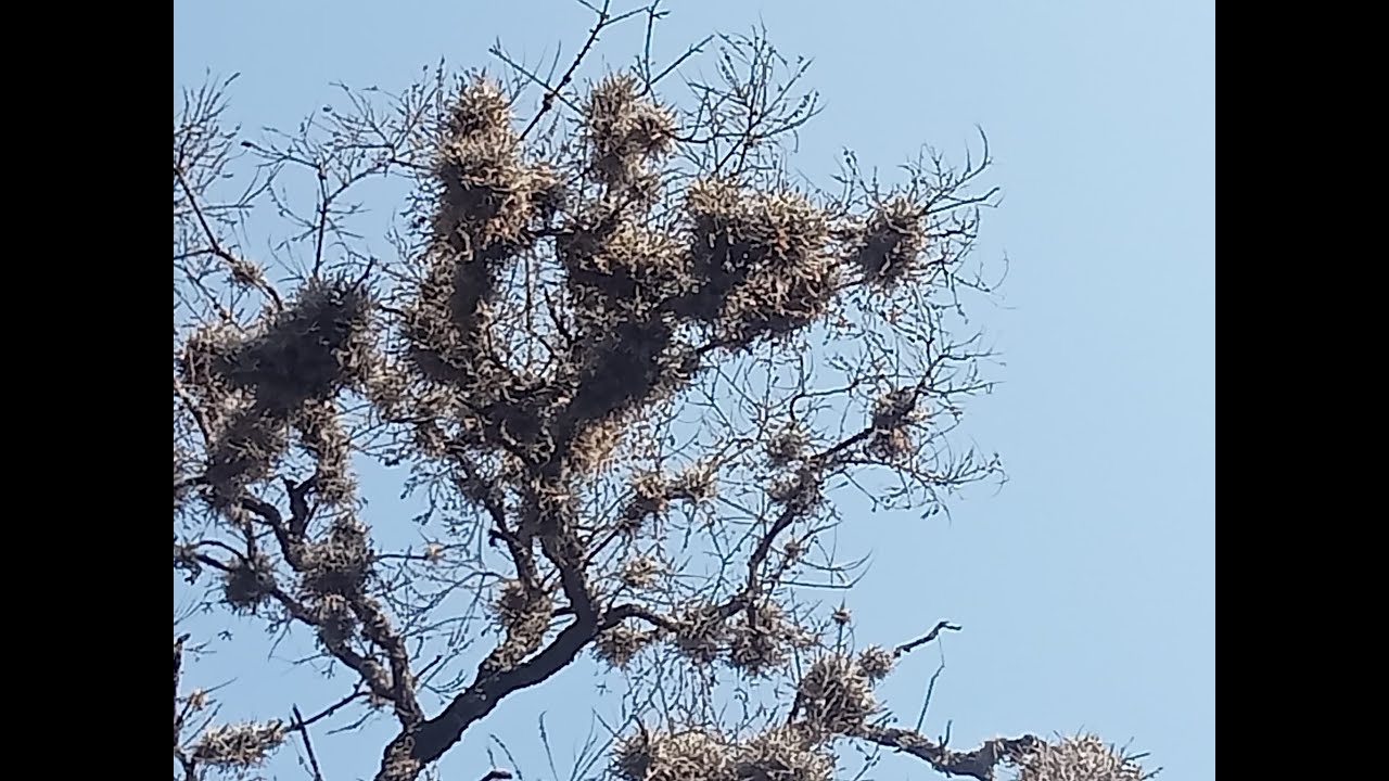 Elaboración de herramienta 