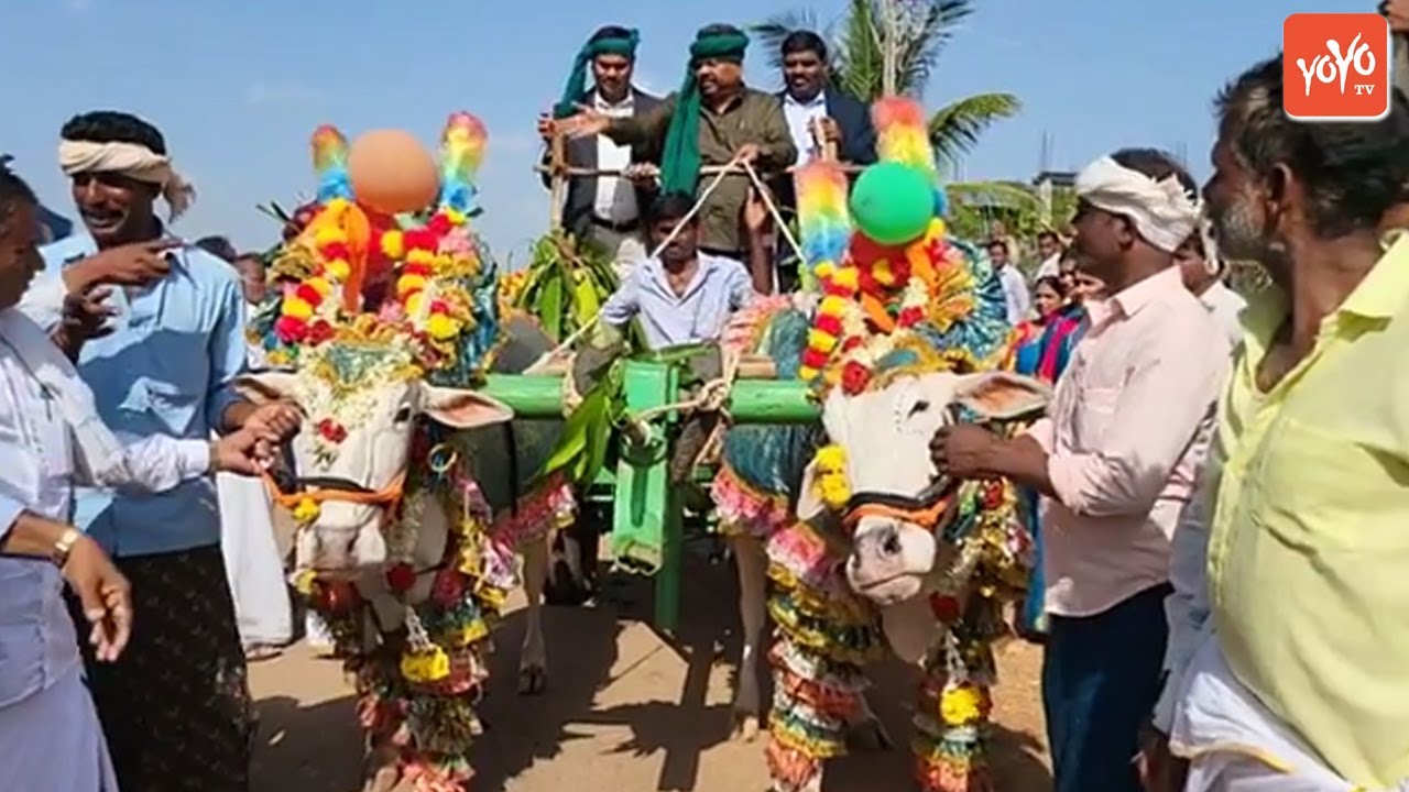 Honnali MLA MP Renukacharya Craze Video | BJP Karnataka Politics | Kannada News | YOYO TV Kannada