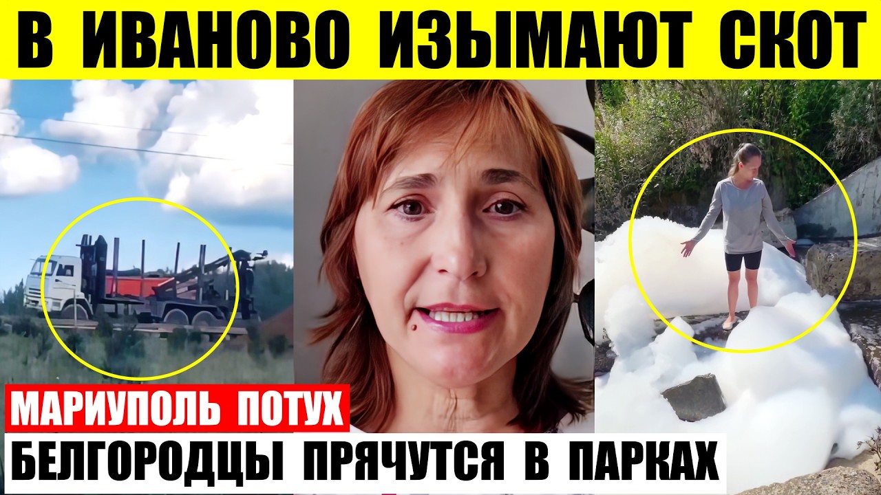 В Иваново изымают скот фермеров. Белгородцы прячутся в парках. Полки пустые электричества нет.