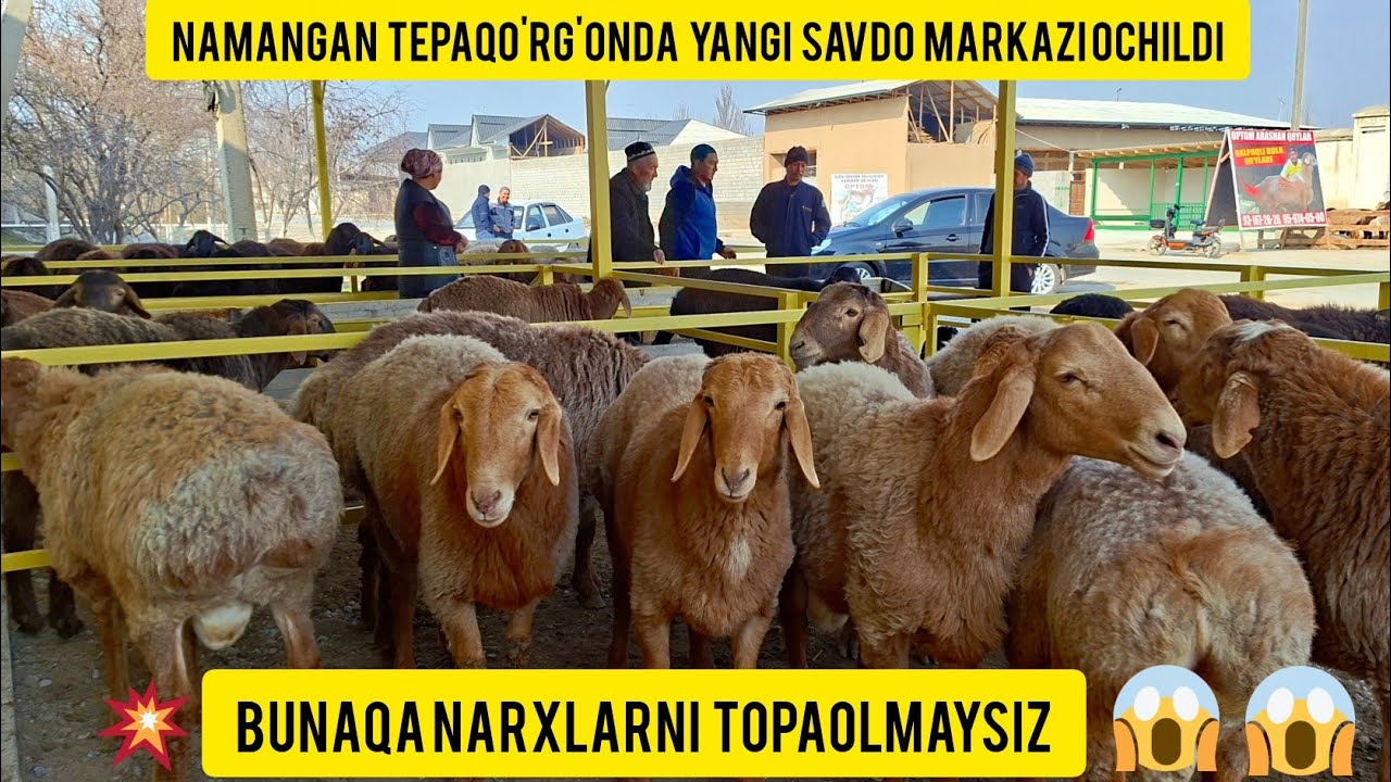 NAMANGAN TUMANI TEPAQO'RG'ONDAN YANGI SAVDO UYI OCHILDI NARXLAR SINDI.