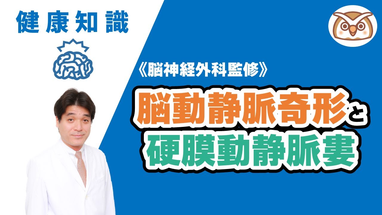 《脳神経外科監修》脳動静脈奇形と硬膜動静脈婁