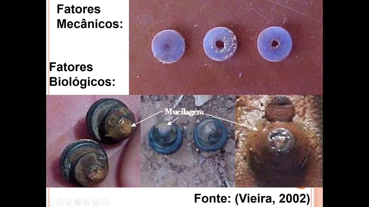 Qualidade da água para irrigação - Parte 2