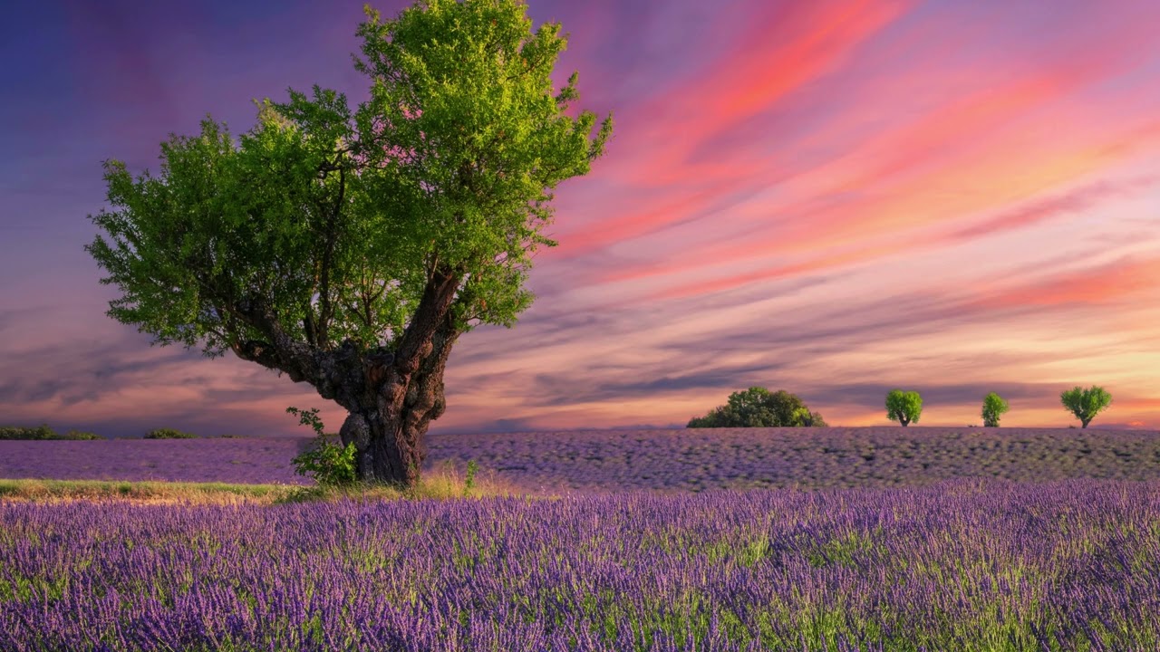 Hymne au Seigneur