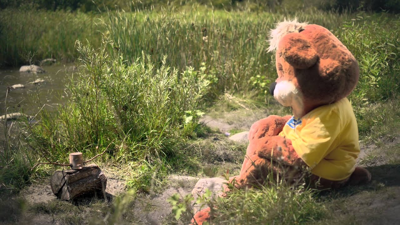 Zeddy in the Woods