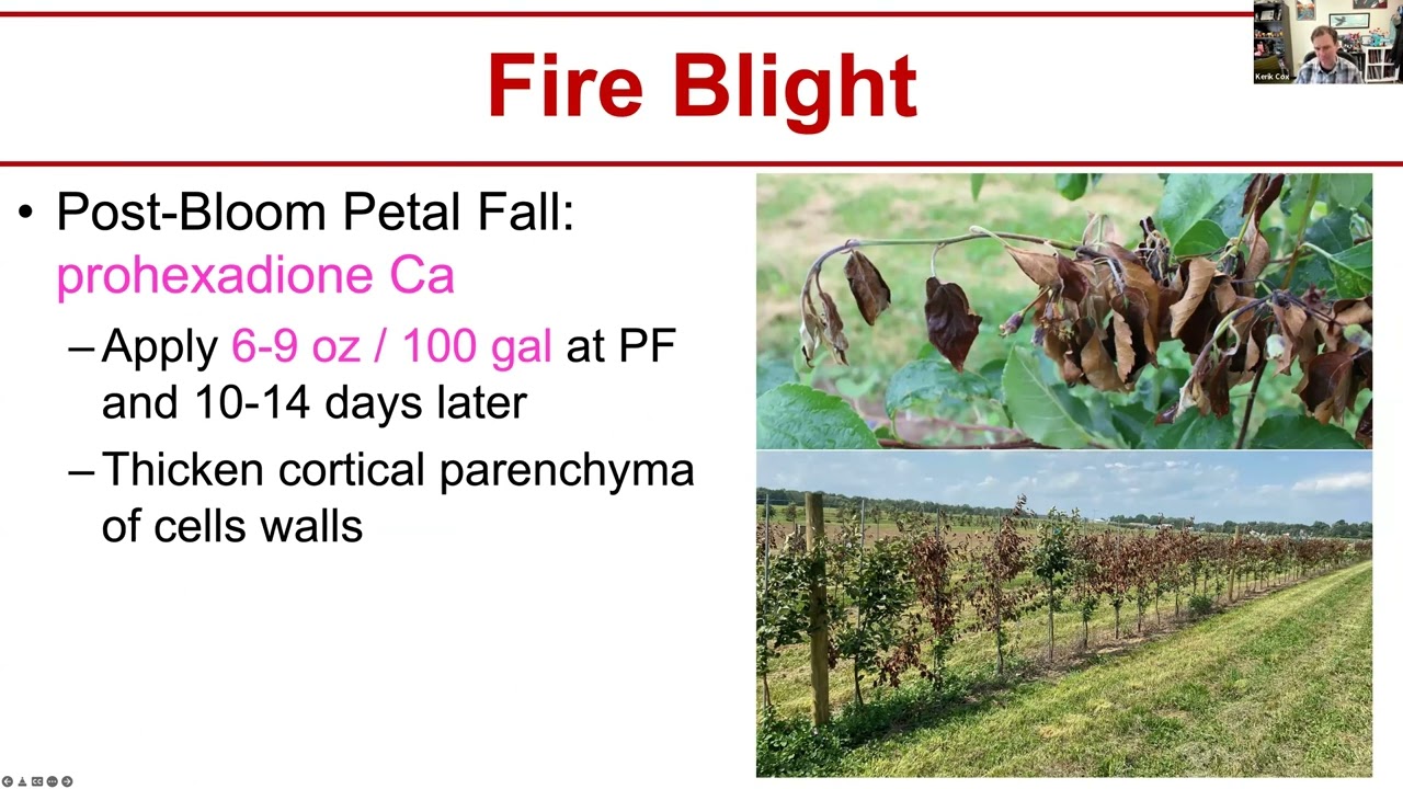 Biologicals and Alternative Best Practices to Manage Fire Blight in Apple