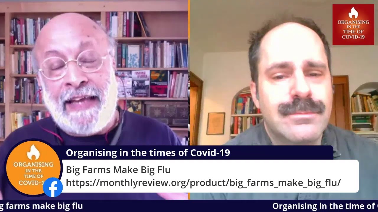Big farms make big flu: discussion with Rob Wallace