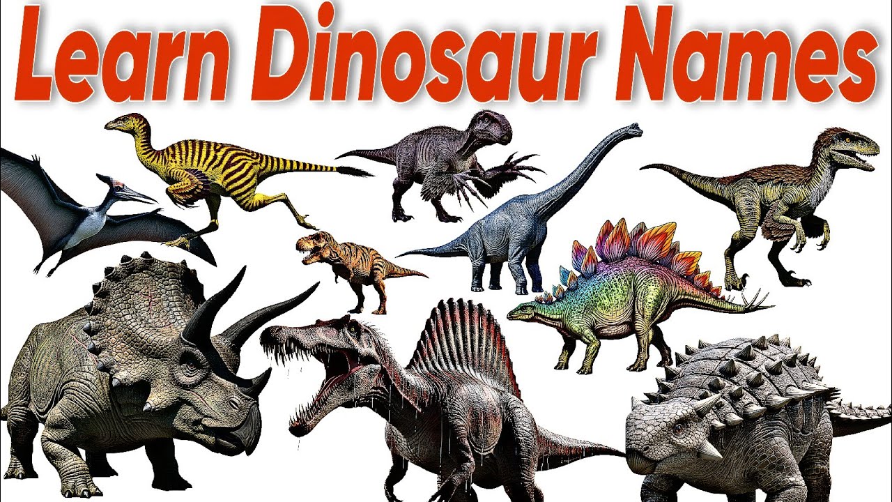 20 Dinosaurs Name in English and Hindi | बच्चों के लिए डायनासोर के नाम | Kids Learnies TV