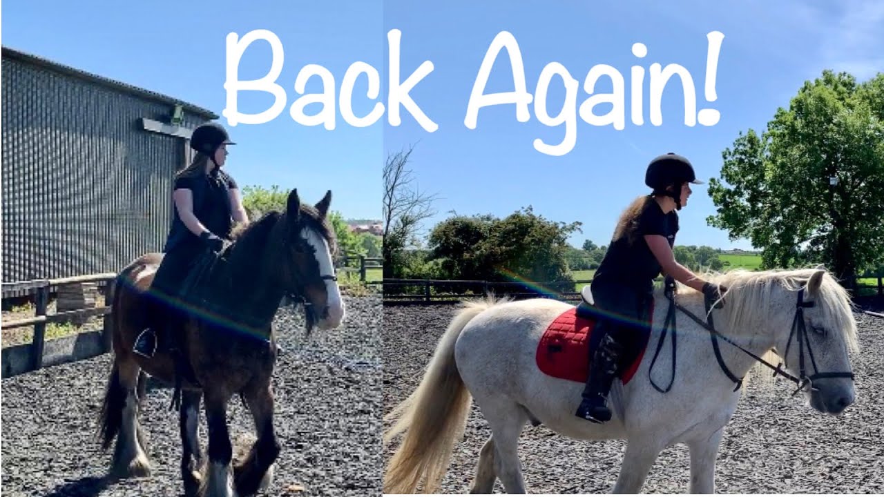 Back In The Saddle on Duncan + Tommy | High Cross Equestrian Centre