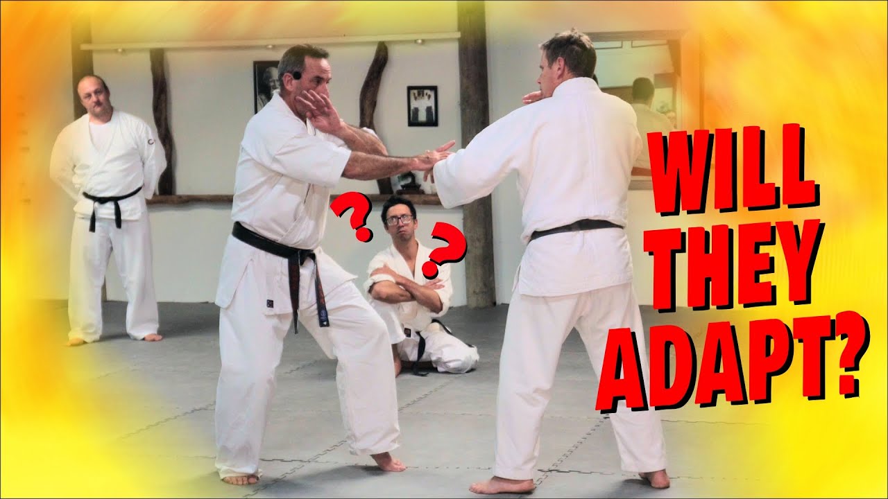 Showing An Aikido Class How I FIGHT