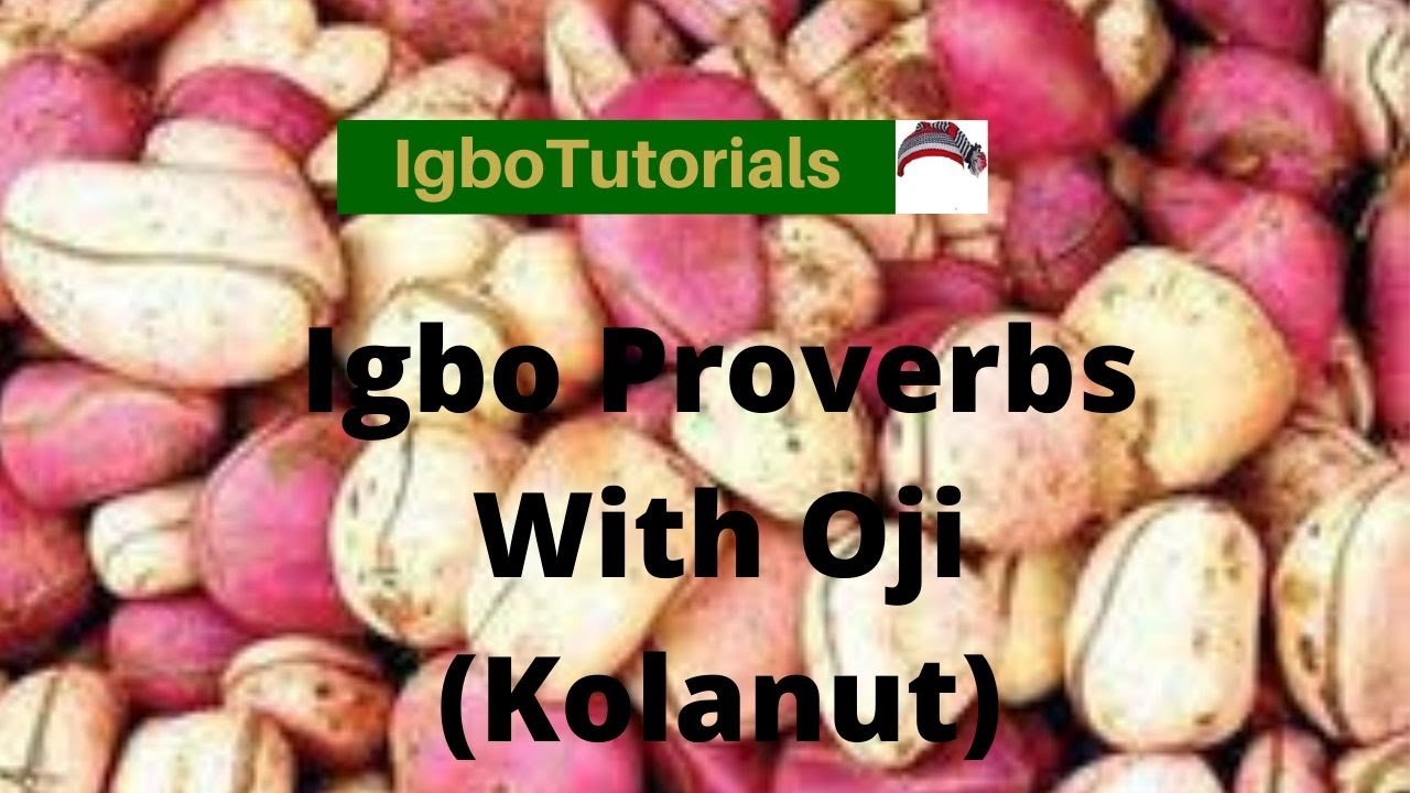 Learn Igbo With Proverbs Part 2