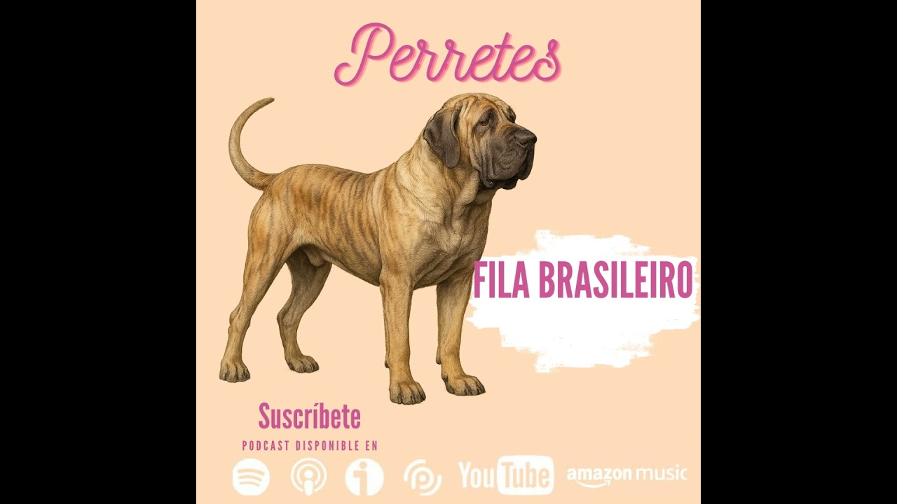 Ep88: Fila Brasileiro.