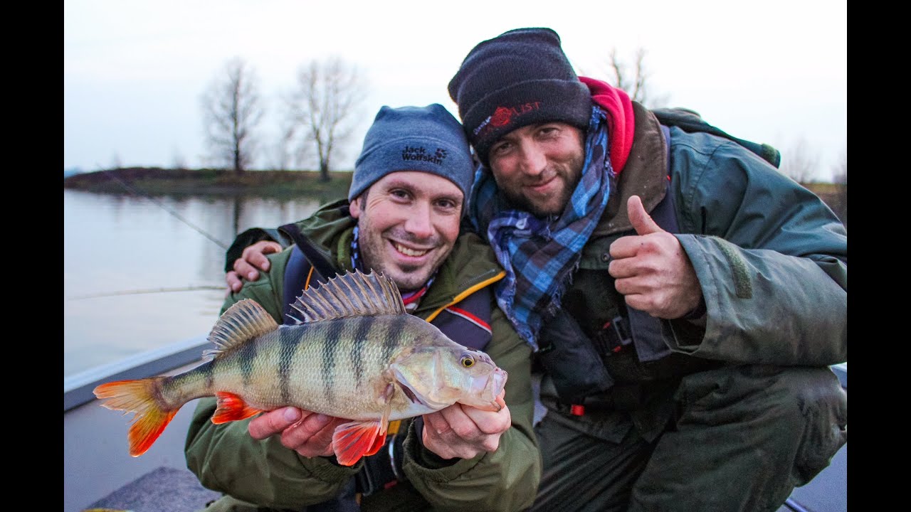 Angeln auf Zander und Barsch vom Boot - Erfolgreich mit Gummifisch